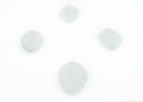 The Bead Chest Leaf Sea Glass Pendants, Frosted Matte Eco-Friendly Translucent Recycled Glass Charms for Jewelry & Necklace Making - color: Clear, size: Leaf