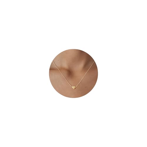 Valloey Rover Gold Necklace for Women 14K Gold Plated Circle Cubic Zirconia Pendant Necklace Dainty Twist Rope Chain Necklace Simple Jewelry Gift for Women - style: Gold-Heart