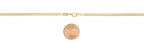 Barzel 18K Gold Plated Mariner Chain Necklace for Women, Flat Marina - Made in Brazil - color: 3.5MM Gold, size: 16 Inches