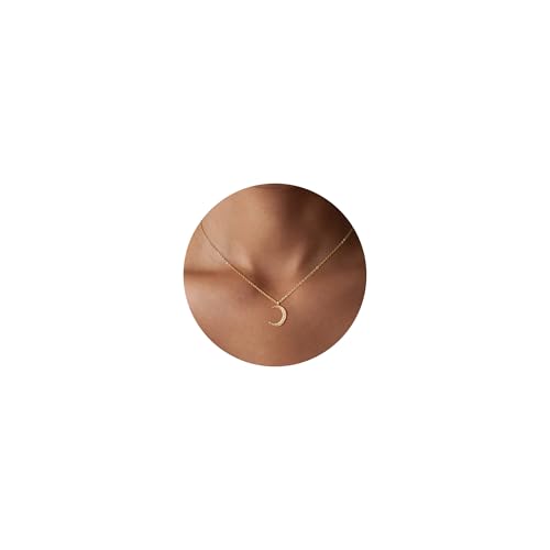 Valloey Rover Gold Necklace for Women 14K Gold Plated Circle Cubic Zirconia Pendant Necklace Dainty Twist Rope Chain Necklace Simple Jewelry Gift for Women - style: Gold-CMoon
