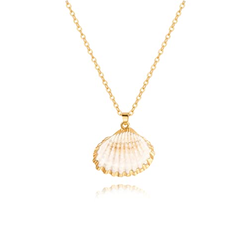 Natural Seashell Shell Scallop Pendant Choker Necklace Adjustable 18K Gold Plated Cable Chain Handmade Jewelry for Women Girls - style: Scallop