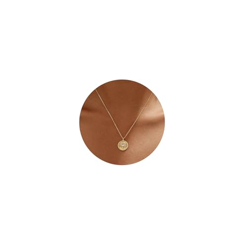 Tasiso Gold Pendant Necklace for Women 14K Gold Plated Coin CZ Pendant Necklace Adjustable Chain Disc Round Dainty Charm Necklace Trendy Jewelry Gift - style: Yuan
