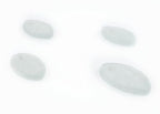 The Bead Chest Leaf Sea Glass Pendants, Frosted Matte Eco-Friendly Translucent Recycled Glass Charms for Jewelry & Necklace Making - color: Clear, size: Leaf