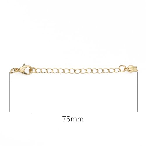 BEADIA 14K Gold Plated Extender Chains 75mm 20pcs Rose Extension Tail Chains for Jewelry Making Findings - color: Rose