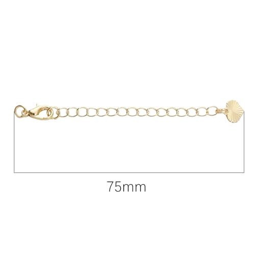 BEADIA 14K Gold Plated Extender Chains 75mm 20pcs Heart Extension Tail Chains for Jewelry Making Findings - color: Heart