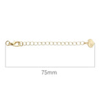 BEADIA 14K Gold Plated Extender Chains 75mm 20pcs Heart Extension Tail Chains for Jewelry Making Findings - color: Heart