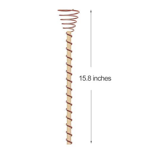 WFIST 24 Pack Electroculture Plant Stakes, Electroculture Copper Gardening Antennas, High-Efficiency Electroculture Gardening Copper Coil for Enhanced Growth, Eco-Friendly Garden Solution (15.8")