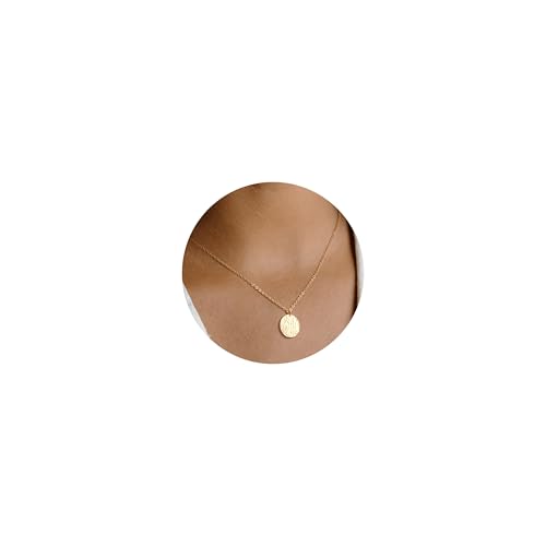 Valloey Rover Gold Necklace for Women 14K Gold Plated Circle Cubic Zirconia Pendant Necklace Dainty Twist Rope Chain Necklace Simple Jewelry Gift for Women - style: Gold-full moon