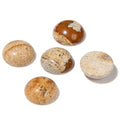 20pcs 4mm Natural Stone No Hole Brown Picture Semicircle Smooth Cabochons Beads Healing Chakra Crystal Stone Bead for Jewelry Making Rings Earrings Necklace Bracelet DIY Crafts - color: Brown Picture, size: 4mm