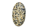 Amazing Gemstone Dalmatian Jasper Worry Stone, Healing Crystals - Piedra Crystal Fidget for Gift, Meditation, Calming, Relaxation, Stress Relief - color: Dalmatian Jasper