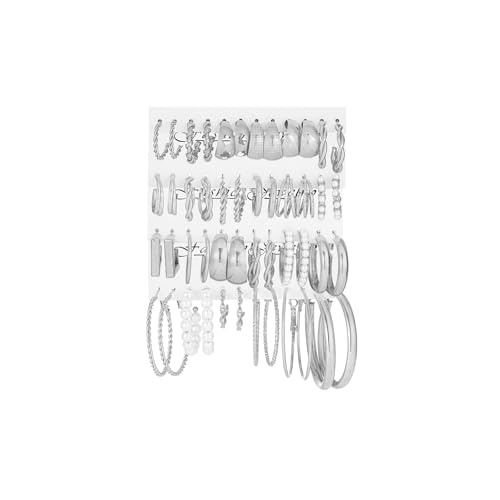 24 Pairs Chunky Gold Hoop Earrings Set for Women, Hypoallergenic Fashion Statement Hoops Earrings Pack Assorted Small Big Twisted Hoop Jewelry for Gift - color: Silver1-24pairs