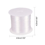 PH PandaHall 109 Yards 0.25mm Clear Fishing Line Invisible Nylon Thread Jewelry String Wire Crystal Beading Cords String for Party Christmas Decor, Seed Beads Jewelry Bracelet Making - size: 0.25mm