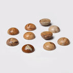 20pcs 4mm Natural Stone No Hole Brown Picture Semicircle Smooth Cabochons Beads Healing Chakra Crystal Stone Bead for Jewelry Making Rings Earrings Necklace Bracelet DIY Crafts - color: Brown Picture, size: 4mm