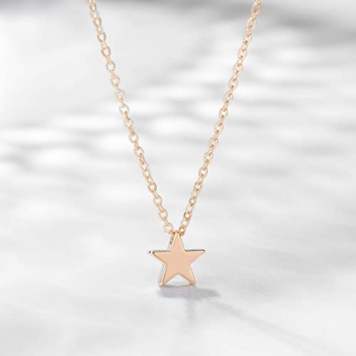 Valloey Rover Gold Necklace for Women 14K Gold Plated Circle Cubic Zirconia Pendant Necklace Dainty Twist Rope Chain Necklace Simple Jewelry Gift for Women - style: Gold-Star