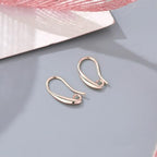 Rose Gold Plated Earring Hooks, 230PCS Earring Findings with Earring Backs for Jewelry Making Hypoallergenic Ear Wires Fish Hook for DIY Earrings Bulk Pack - color: Rose Gold-Big Earing Hooks