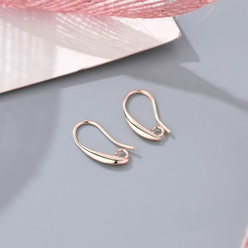 Rose Gold Plated Earring Hooks, 230PCS Earring Findings with Earring Backs for Jewelry Making Hypoallergenic Ear Wires Fish Hook for DIY Earrings Bulk Pack - color: Rose Gold-Big Earing Hooks