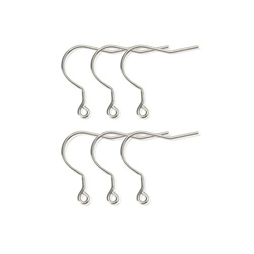 6pcs 20G Big Pure Titanium Earring Fish Hooks DIY Earrings Findings for Jewelry Making, Hypoallergenic Earring Hooks Making Kit for Women Men Sensitive Ears - color: 6pcs Big fish hook, size: 6PCS