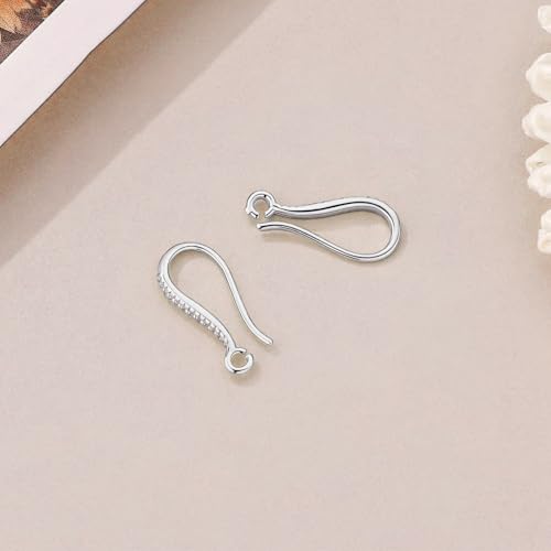 230PCS Earring Findings for Jewelry Making, Silver Earring Hooks ypoallergenic Fish Hooks for DIY Bulk Pack - color: Silver-Thin Earring Hooks