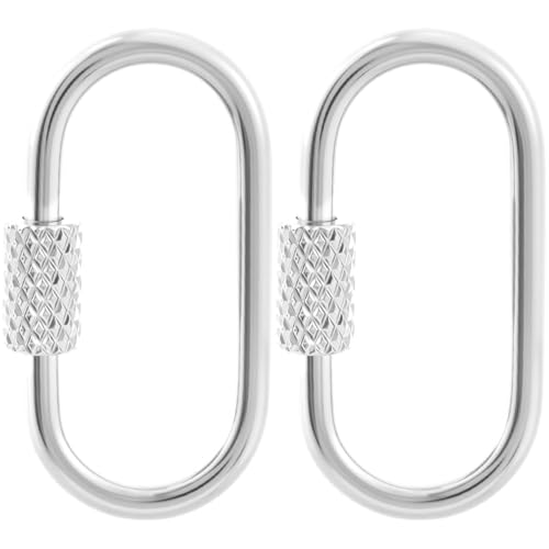 2 Pcs Locking Carabiner Small, Oval Jewelry Carabiner, Silver Carabiner Clasp, Metal Carabiner Necklace for DIY Necklace Bracelets Jewelry Making Hook (Silver) - color: 2 Pcs-Silver, Style1