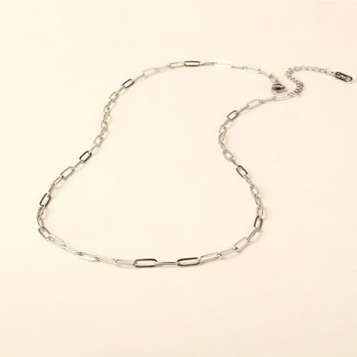 10PCS Paperclip Chains Necklace Bulk 2.5MM 20 Inches Stainless Steel Finished Paperclip Link Chain Bulk forJewelry Making - color: stainless steel, size: 2.5MM * 20 Inches