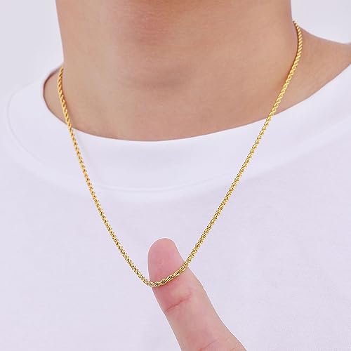 Fiusem 18K Gold Plated Rope Chain for Men, 18K Gold Plated/Black Chain Necklace, Stainless Steel Necklace for Men and Women, Jewelry Gifts - size: 20 Inches, style: Gold 2.5mm