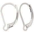 Beebeecraft 1 Box 100Pcs Leverback Earring Hooks 304 Stainless Steel French Earring Hooks Earwire Clasp Findings 16.5x10mm for DIY Danlge Ear Wire Jewelry Making - color: Stainless Steel Color
