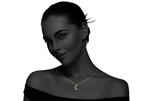Valloey Rover Gold Necklace for Women 14K Gold Plated Circle Cubic Zirconia Pendant Necklace Dainty Twist Rope Chain Necklace Simple Jewelry Gift for Women - style: Gold-CMoon