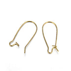 Adabele 50pcs Hypoallergenic Earring Hooks Kidney Ear Wire 25mm Long Antique Bronze Plated Brass for DIY Craft Earrings Jewelry Making CF46-25 - color: Antique Bronze, size: 25mm (1") - 50pcs