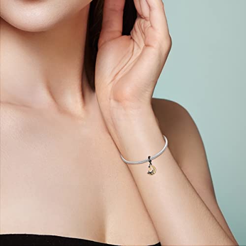 MULA 925 Sterling Silver Charms for Bracelets and Necklaces Lipstick and Bag Dangle Pendants Tower Camera Beads Jewelry Charms for Women - color: Cat and Moon Charm