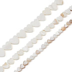 Fashewelry 147pcs Heart Natural Freshwater Shell Loose Beads White Peach Heart Sea Shell Spacer Charm Beads 6mm/8mm/12mm for Jewelry Making - color: 1-Shell Color, 6mm/8mm/12mm