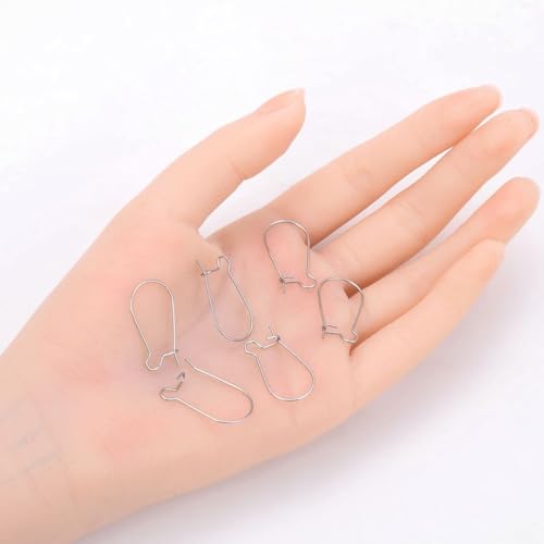 50pcs Adabele 316 Grade Surgical Stainless Steel Hypoallergenic Earring Hooks 25mm Kidney Ear Wire (Wire 0.8mm/20 Gauge) for DIY Earrings Jewelry Making SEF187-25 - size: 25mm (1 inch) Long