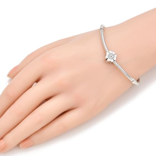 40pcs Four-Leaf Clover Flower Symbol of Good Luck Large Hole Loose Beads (4.5mm Hole) Antique Silver Metal Spacer for DIY Craft Jewelry Making MEC-E1 - size: Four-Leaf Clover