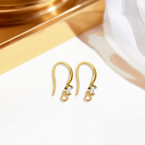 220PCS Earring Findings for Jewelry Making, 18K Gold Plated Earring Hooks with with Cubic Zirconia Hypoallergenic Fish Hooks for DIY Earrings - color: 18K Gold-Big Cubic Zirconia Earring Hooks