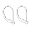 Adabele 50pcs Hypoallergenic Earring Hooks Leverback Ear Wire 17mm Long Sterling Silver Plated Brass for DIY Craft Earrings Jewelry Making CF194-1 - color: Silver, size: 17mm (50pcs)