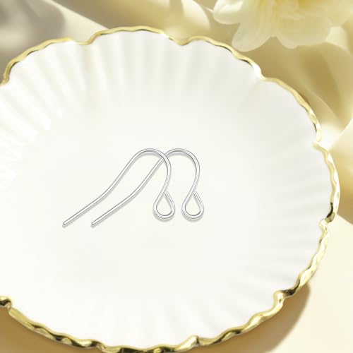 Silver Earring Hooks, 500PCS Earring Findings for Jewelry Making Hypoallergenic Ear Wires Fish Hook for DIY Earrings Bulk Pack - color: A style-Silver Simple Earring Wire
