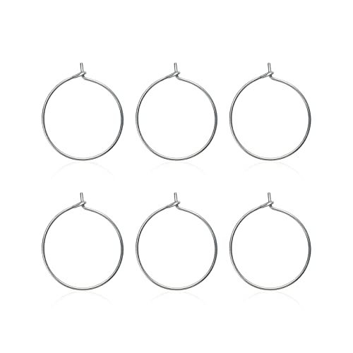 6pcs 20G Pure Titanium Earring Hoops DIY Beaded Earrings Findings Components for Jewelry Making 20mm, Hypoallergenic Beading Hoop Earring Making Kit - color: 6pcs 20mm Earrings hoop, size: 6PCS