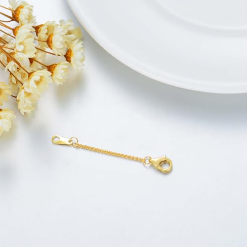 10K Yellow Gold 1"/2"/3" Necklace Extender Chain with Lobster Clasp/Spring Clasp Gold Necklace Extender Bracelet Anklet Extension Chain Necklace Bracelet Extender 10K Gold - size: 2inch, style: style 3