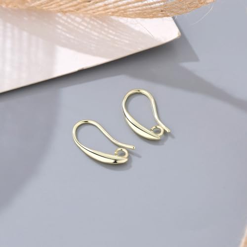 14K Gold and Silver Plated Earring Hooks, 230PCS Earring Findings for Jewelry Making Hypoallergenic Earring Making Kit for DIY Bulk Pack - color: Silver and 14K Gold-Big Earing Hooks