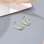 14K Gold Plated Earring Hooks, 230PCS Earring Findings for Jewelry Making Hypoallergenic Ear Wires for DIY Bulk Pack - color: 14K Gold-Big Earing Hooks