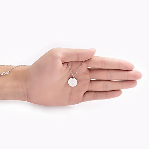 925 Sterling Silver Zodiac Necklace Disc Charm Necklace Gift for Your Wife Girlfriend or Family Member - style: Sagittarius