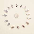 SUNNYCLUE 1 Box 16Pcs Oval Ocean Beach Spiral Seashells Craft Charms Connectors Pendant Conch Shells Charms with Plated Golden Loop Bail for Jewelry Bracelet Necklace Making Craft Supplies - color: 1 Box 16pcs Shell Charms