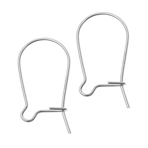 Adabele 200pcs Hypoallergenic Earring Hooks Kidney Ear Wire Connector 25mm Long Sterling Silver Plated Brass for DIY Craft Earrings Jewelry Making CF187-25 - color: Silver, size: 25mm (1") - 200pcs