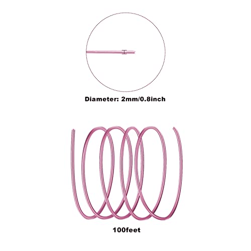 12 Gauge Aluminum Wire - 100 Feet AnselLimited Edward Bendable Anodized Metal Wire for Sculpting, Jewelry, Armature, Wrapping & Craft - size: 2mm, style: Pink