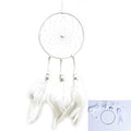 DIY Dream Catcher Beginner Kit, Making Dream Catcher Supplies Include Metal Hoop, Feathers, Faux Suede Cord, Thread, Wood Beads (White) - color: White
