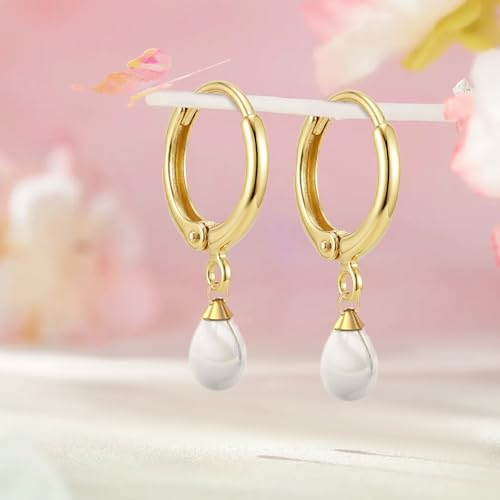 JUNCHONG 12Pcs Earring Hooks, Round Small Huggie Hoop with Loop Ear Leverback Hooks, Hypoallergenic 14mmx2mm Earring Findings for Jewelry Making, Silver - color: Silver