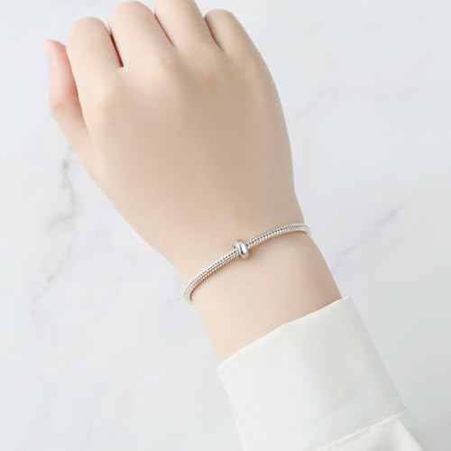 Spacer Stopper Beads for Bracelets & Necklaces, 925 Sterling Silver Beads | Smooth & Pave Cubic Zirconia (White, Blue, 18K Gold Plated) | Anti-Slide Separator Charms S925 Women Jewelry - color: 2Pcs Sliver Spacer