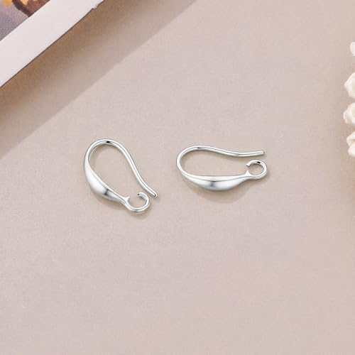 Silver Earring Hooks, 230PCS Hypoallergenic Earring Findings for Jewelry Making Fish Hooks for DIY Bulk Pack - color: Silver-Simple Earring Hooks
