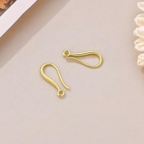 230PCS Earring Findings for Jewelry Making, 14K Gold Plated Earring Hooks ypoallergenic Fish Hooks for DIY Bulk Pack - color: 14K Gold-Thin Earring Hooks