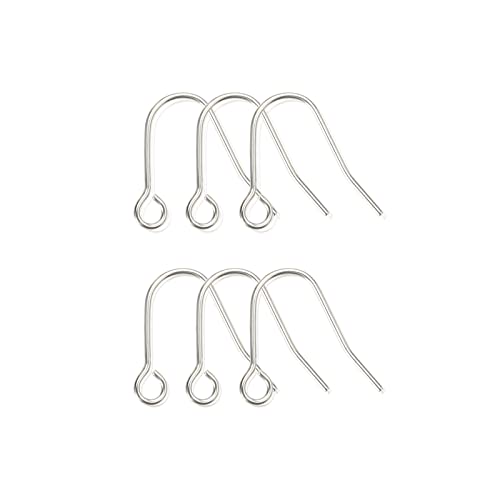 6pcs 20G Small Pure Titanium Earring Fish Hooks DIY Earrings Findings for Jewelry Making, Hypoallergenic Earring Hooks Making Kit for Women Men Sensitive Ears - color: 6pcs Small fish hook, size: 6PCS