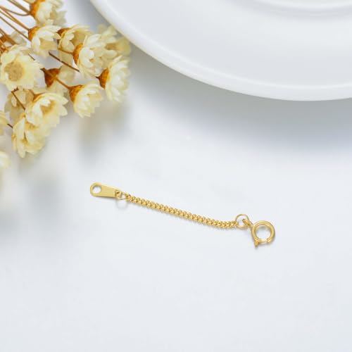 10K Yellow Gold 1"/2"/3" Necklace Extender Chain with Lobster Clasp/Spring Clasp Gold Necklace Extender Bracelet Anklet Extension Chain Necklace Bracelet Extender 10K Gold - size: 2inch, style: style 2